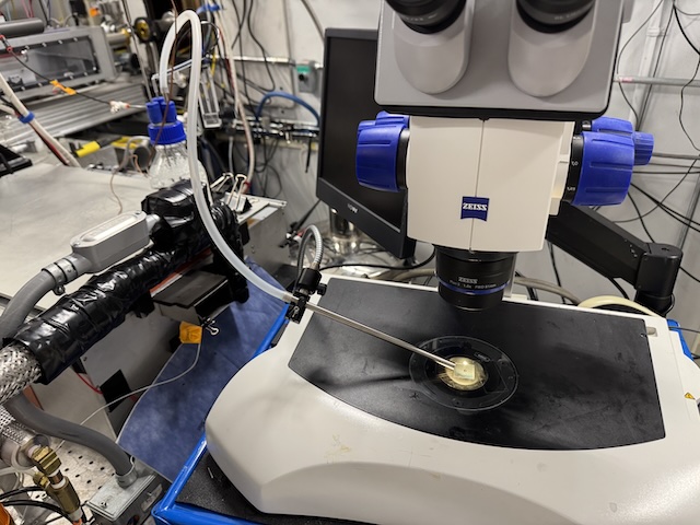 bubbler_microscope