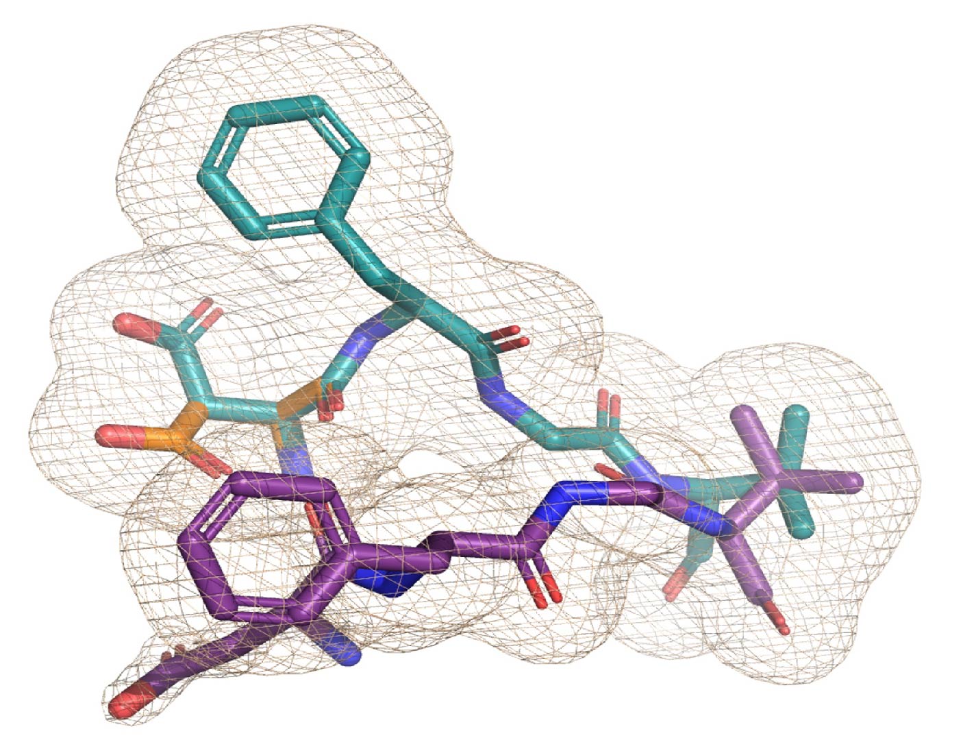Encoding Multiple States of Proteins