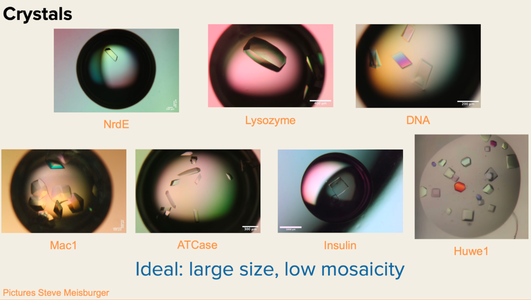 2026_crystals_spm_allhands