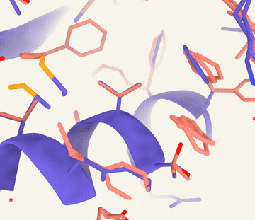 qFitLatent reconstruction of side chain multiconformers in a validation protein not seen during training. The rotamer of the ground truth (qFit, purple) central valine is correctly predicted by the model (qFitLatent, salmon).