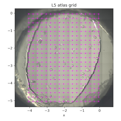 L5_atlas_grid