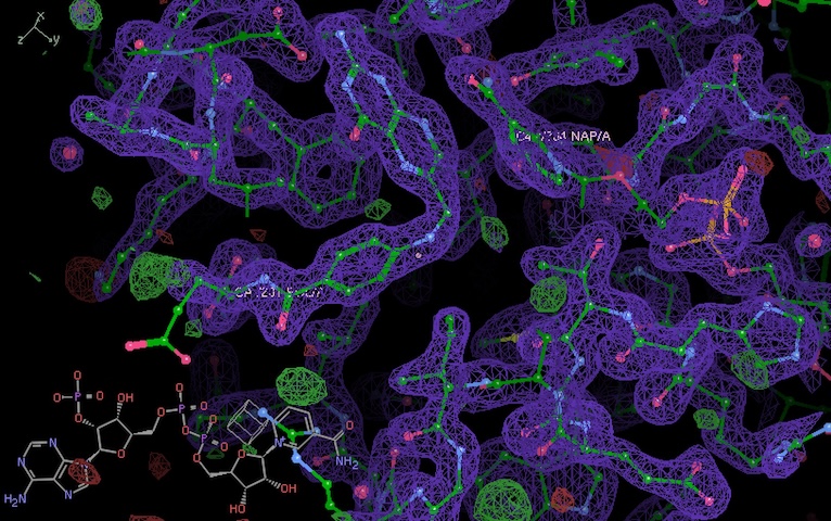 dhfr_fol_nadp_density