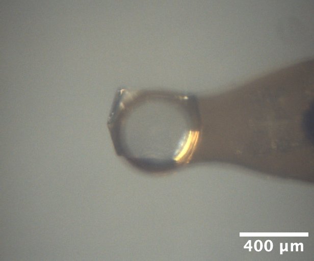 lysozyme_a4
