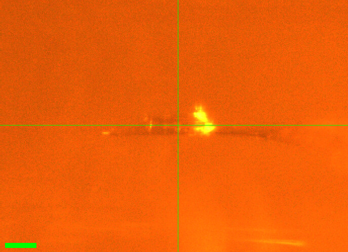 DHFR_6_A2